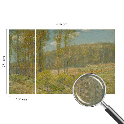 3D fototapetas su Skovlandskabas motyvu