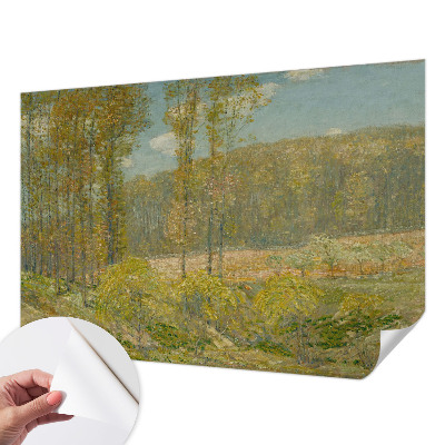 3D fototapetas su Skovlandskabas motyvu