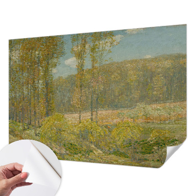 3D fototapetas su Skovlandskabas motyvu