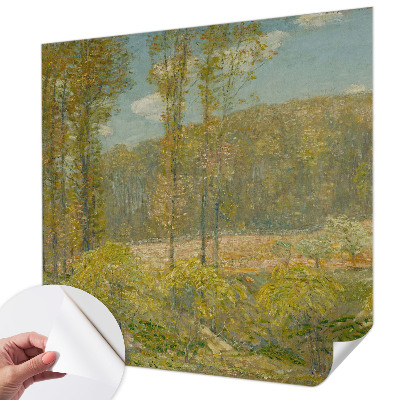 3D fototapetas su Skovlandskabas motyvu