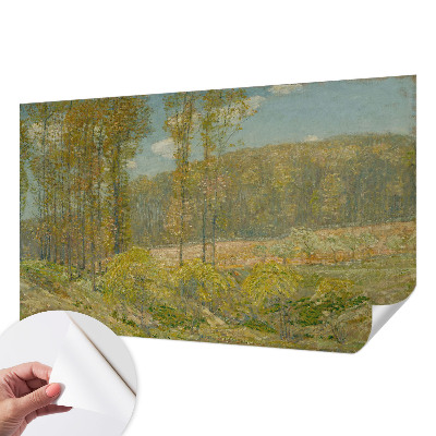 3D fototapetas su Skovlandskabas motyvu