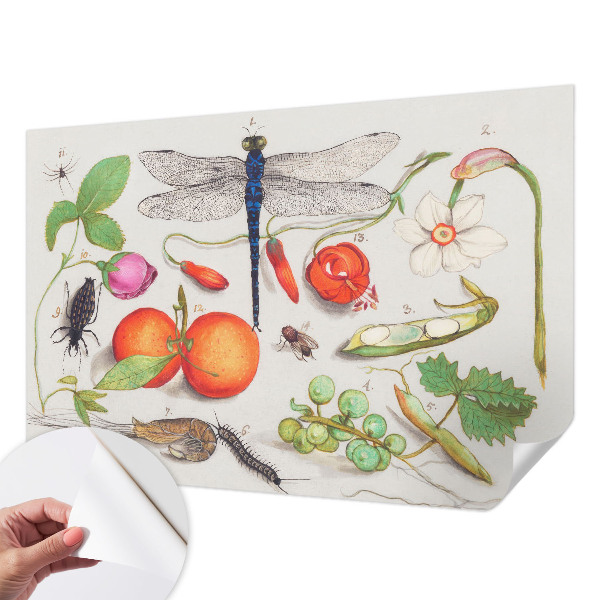 Tapetai Gamtos iliustracija