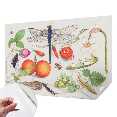 Tapetai Gamtos iliustracija