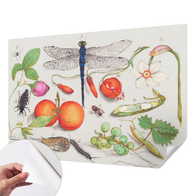 Tapetai Gamtos iliustracija