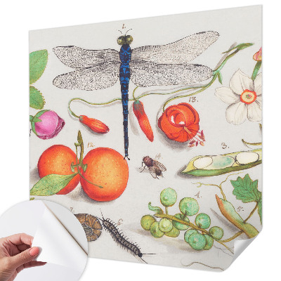 Tapetai Gamtos iliustracija