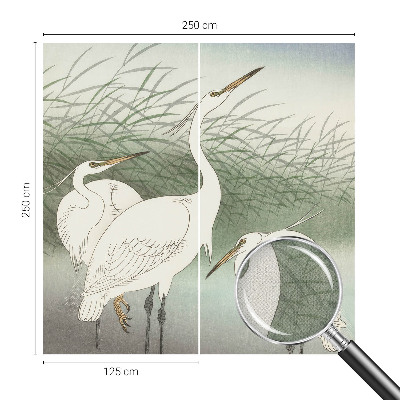 3D fototapetas sienoms Hejrer ir græsset