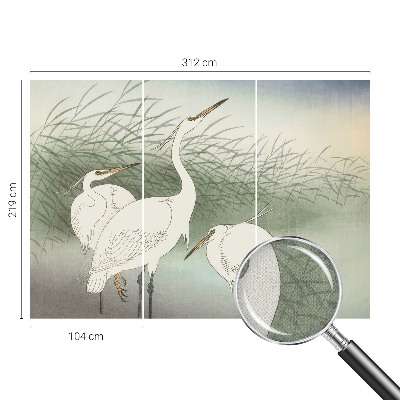 3D fototapetas sienoms Hejrer ir græsset