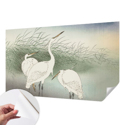 3D fototapetas sienoms Hejrer ir græsset