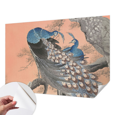 Fototapetai Apsauginė elegancija