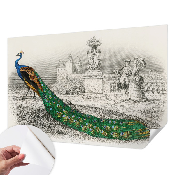 Tapetai Spalvingas fjeras