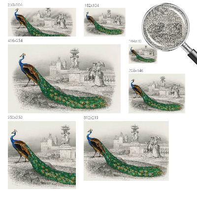 Tapetai Spalvingas fjeras