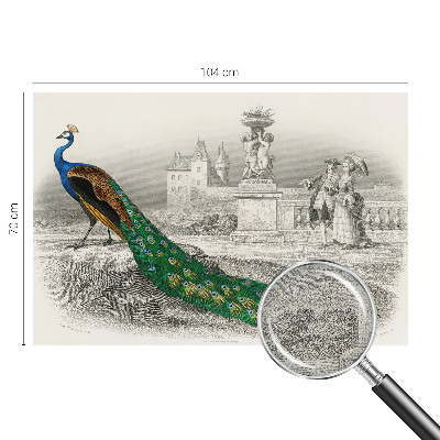 Tapetai Spalvingas fjeras