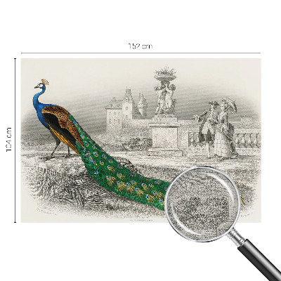 Tapetai Spalvingas fjeras