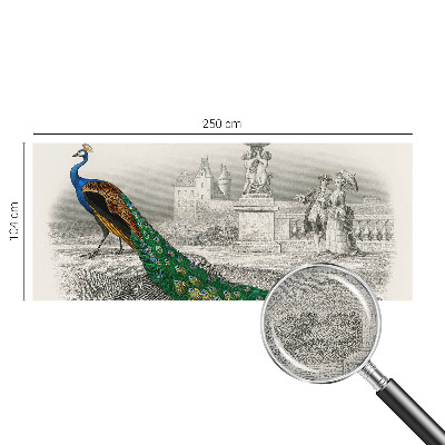 Tapetai Spalvingas fjeras