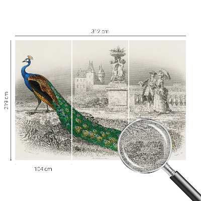 Tapetai Spalvingas fjeras