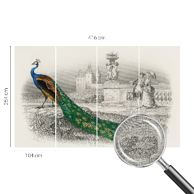 Tapetai Spalvingas fjeras