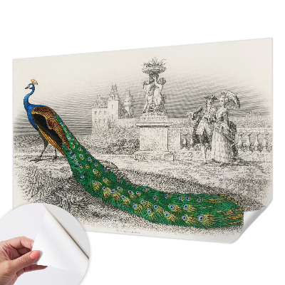 Tapetai Spalvingas fjeras