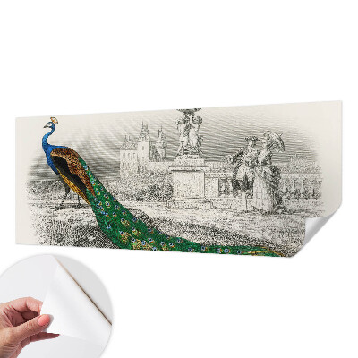 Tapetai Spalvingas fjeras