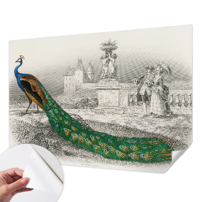 Tapetai Spalvingas fjeras