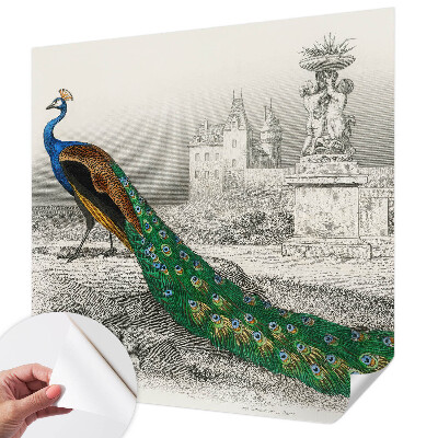 Tapetai Spalvingas fjeras