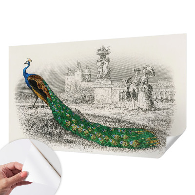 Tapetai Spalvingas fjeras