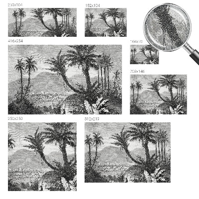 3D fototapetas sienoms su tropikų oazės motyvu