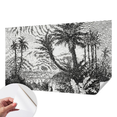 3D fototapetas sienoms su tropikų oazės motyvu