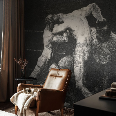 Tapetai Boksernų dvikova