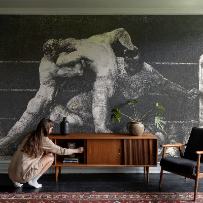 Tapetai Boksernų dvikova