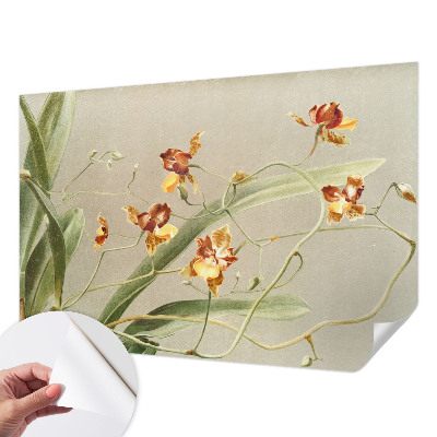 Fototapetai su klasikinio stiliaus orchidėja