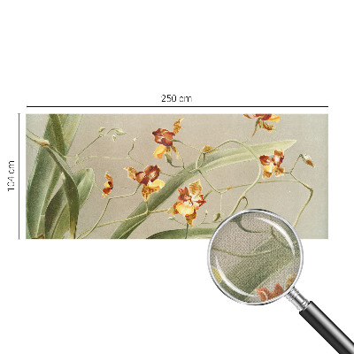 Fototapetai su klasikinio stiliaus orchidėja