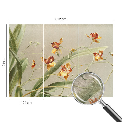 Fototapetai su klasikinio stiliaus orchidėja