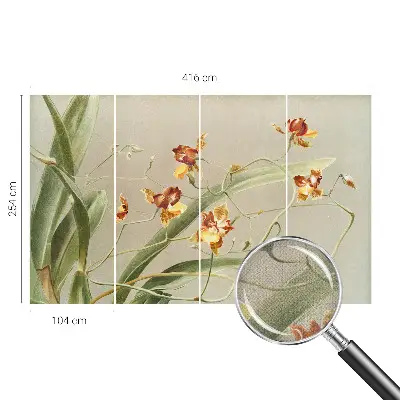 Fototapetai su klasikinio stiliaus orchidėja