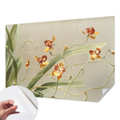 Fototapetai su klasikinio stiliaus orchidėja