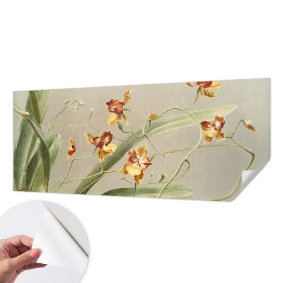 Fototapetai su klasikinio stiliaus orchidėja