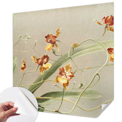 Fototapetai su klasikinio stiliaus orchidėja