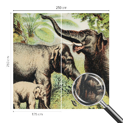 Fototapetas vaikams Šeimos dramblys