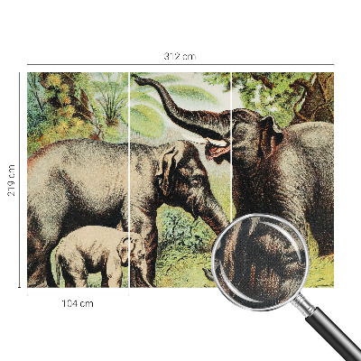 Fototapetas vaikams Šeimos dramblys