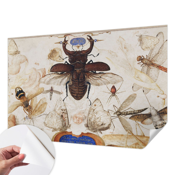 Fototapetai Natūrali harmonika