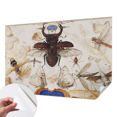 Fototapetai Natūrali harmonika