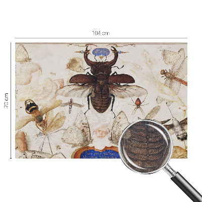 Fototapetai Natūrali harmonika