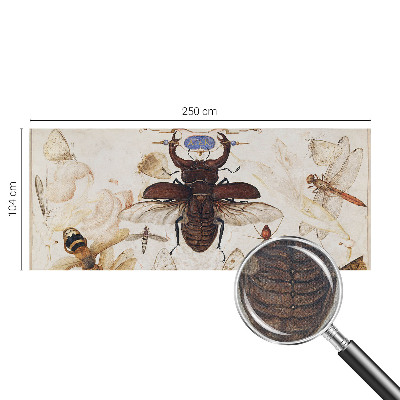 Fototapetai Natūrali harmonika