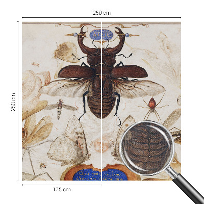 Fototapetai Natūrali harmonika