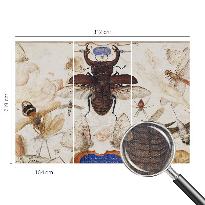 Fototapetai Natūrali harmonika