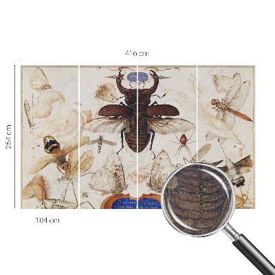 Fototapetai Natūrali harmonika