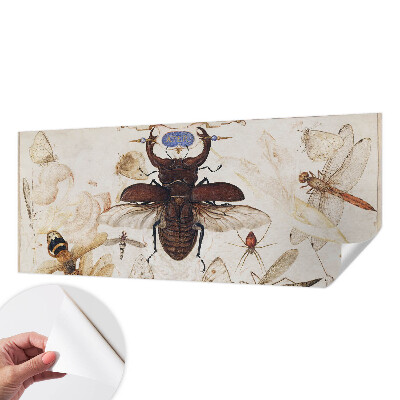 Fototapetai Natūrali harmonika