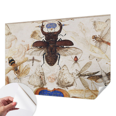 Fototapetai Natūrali harmonika