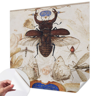 Fototapetai Natūrali harmonika