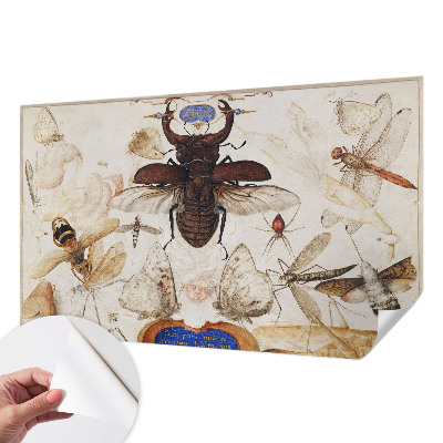 Fototapetai Natūrali harmonika