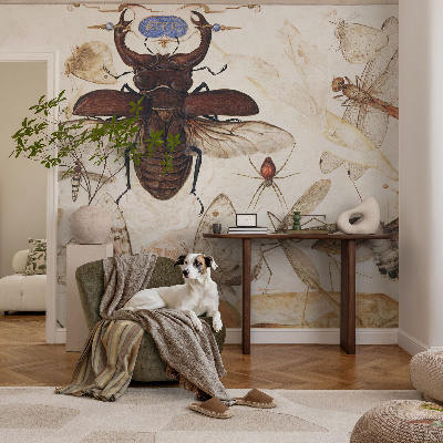 Fototapetai Natūrali harmonika